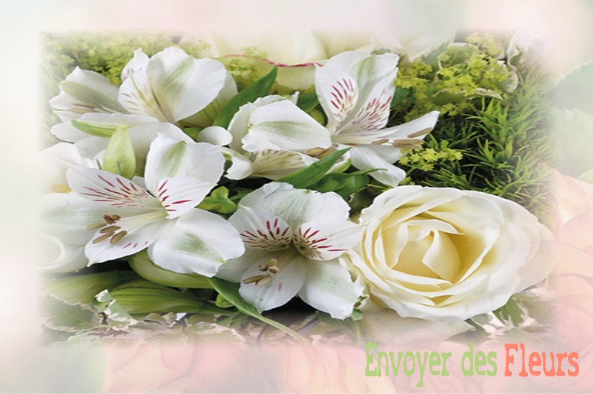 envoyer des fleurs à à DAMPIERRE-LES-BOIS